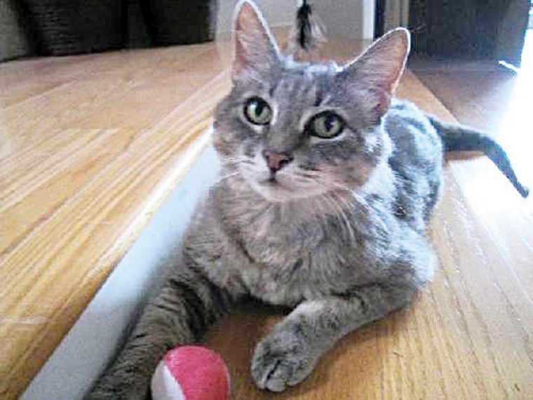 Someone to Love: BooBoo