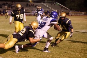 Desert Vista 28, Chandler 21