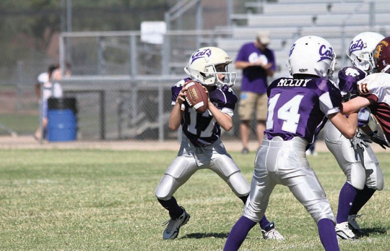 South East Valley (SEV) Football