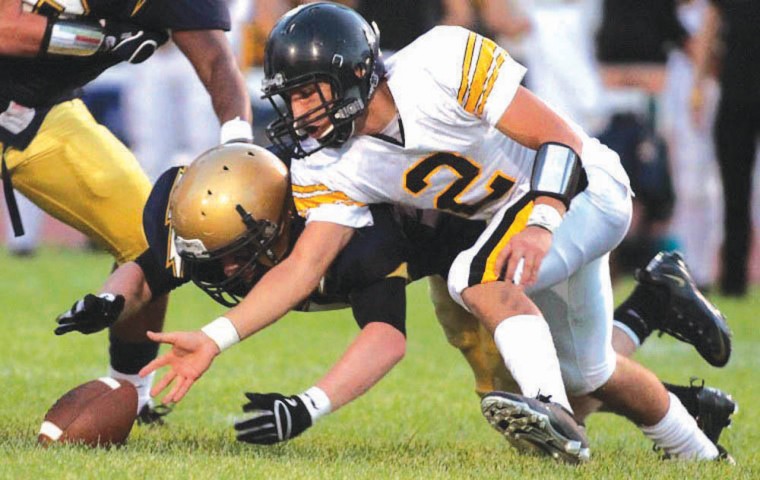 DV defense