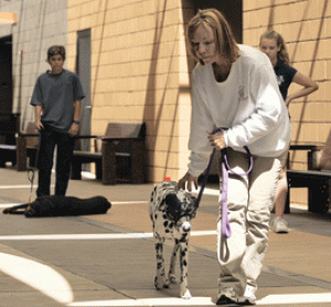 Man's best friend offers a helping paw 