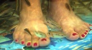Lawsuit filed over feet-nibbling fish 