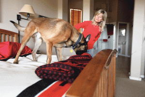 Local K-9 added to war on drugs 