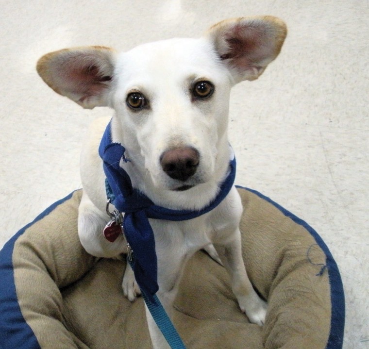 Someone to love: Taylor