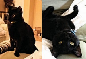 Somoeone to Love: Charlie