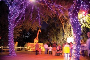 Zoolights