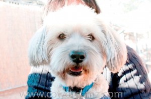 Someone to love: Tiberius