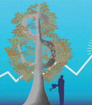Environment Money
