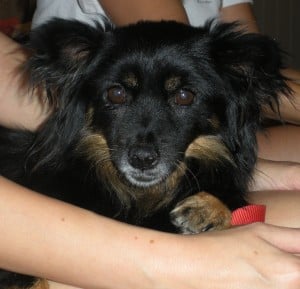 Roxanne