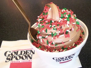 Best Frozen Dessert 2008 