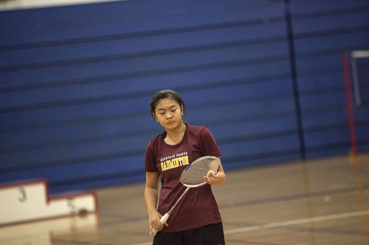 Badminton State Championships