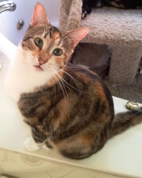 Someone to Love: Ellie