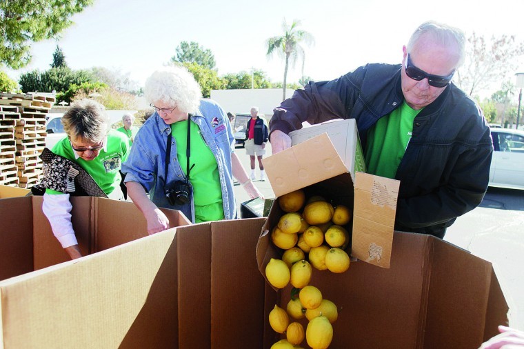 Citrus