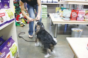 Pet Planet