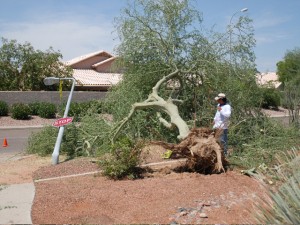 East Valley cleans up after monster storm 