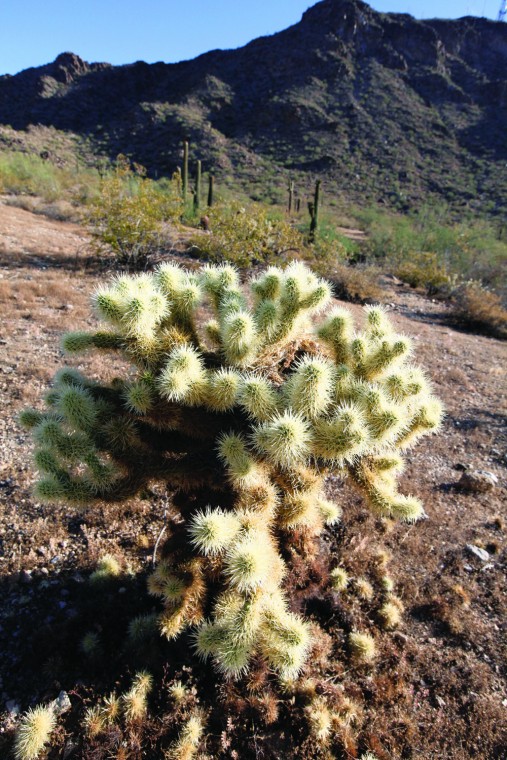 afn.062310.com.hiking9.jpg