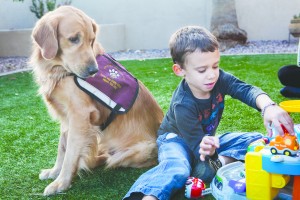 Service Dog