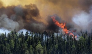 Arizona Wildfires