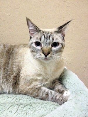 Someone to love: Coco