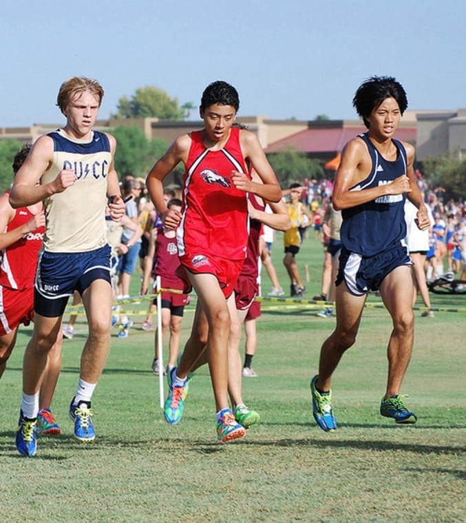 DV cross country