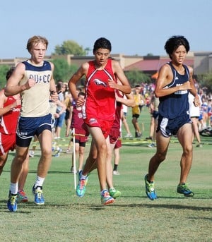 DV cross country