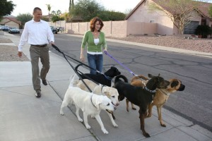 Fore the Dogs