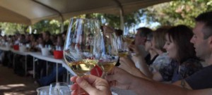 afn.102910.arts.winegetaway2.jpg