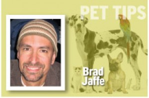 Pet Tips Brad Jaffe