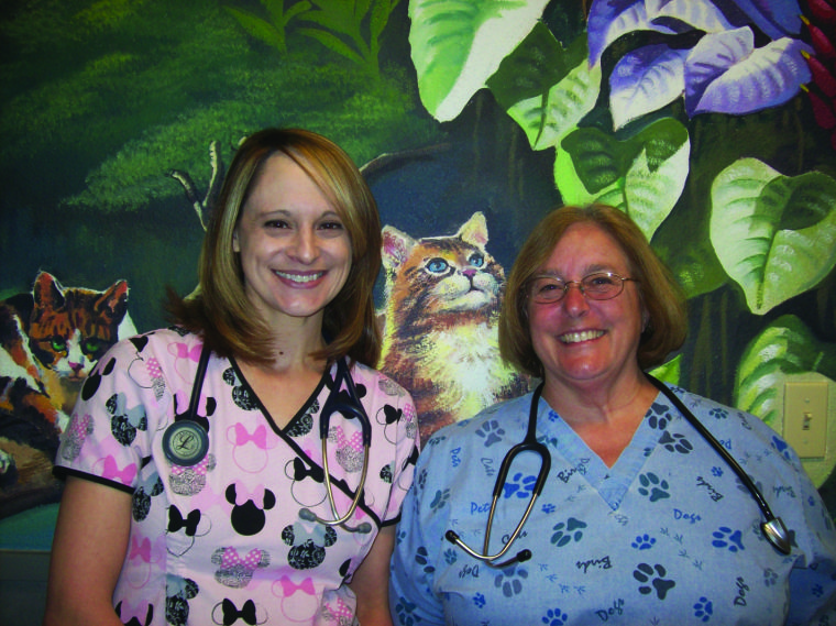 Ahwatukee Commons Veterinary Hospital