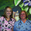 Best veterinarian: Ahwatukee Commons Veterinary Hospital