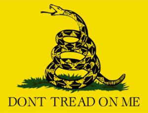 Gadsden flag