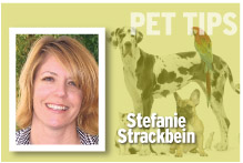 Pet Tips Stefanie Strackbein