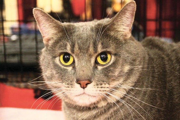 Someone to love: Jake
