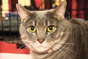 Someone to love: Jake