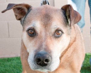 Someone to love: Winston
