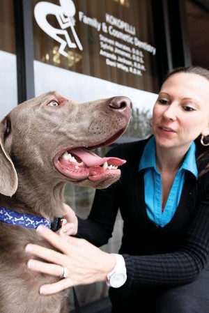 afn.122210.com.dogHygiene1.jpg