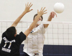 Volleyball