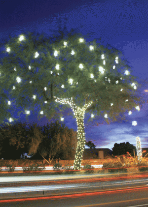 Festival of Lights faces red ink 