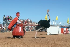 The Chandler Ostrich Festival