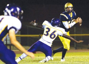Stingers