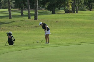 Desert Vista golf