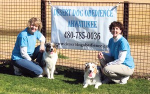 Best Pet Training 2009 