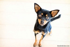 Someone to love: Rita