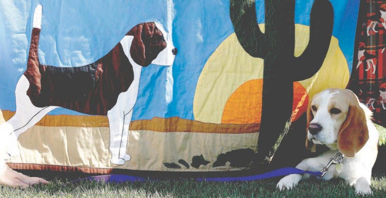 Ahwatukee Dog Show