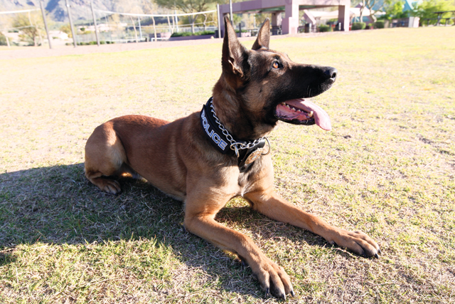 Y and K-9 fun day at park 