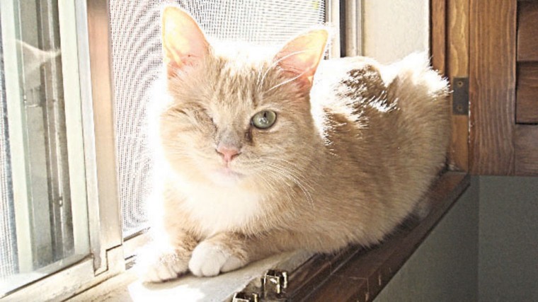 Someone to love: Ellie