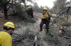 Arizona Wildfires