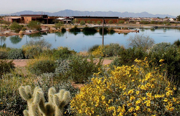 Veterans Oasis Park
