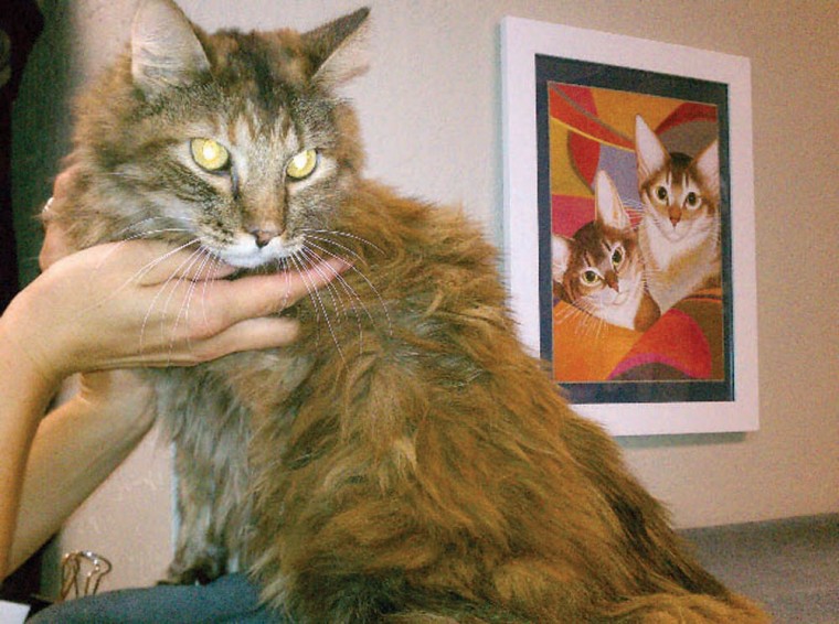 Someone to love: Littlebit