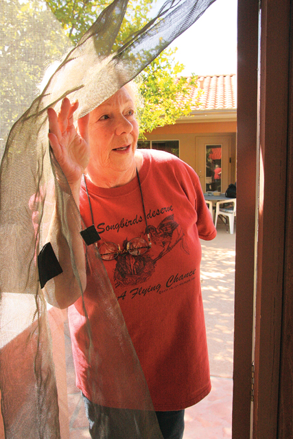 Hummingbird rescuing in AF 